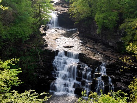 Beautiful Falls - falls, trees, forest, river, beautiful, waterfall, rocks