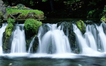 Short Falls - falls, water, moss, waterfall, rocks, forest, river, beautiful, stones