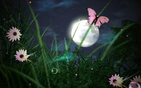 the quiet night 1280x 800. jpg - flowers, moon, butterfly, nature