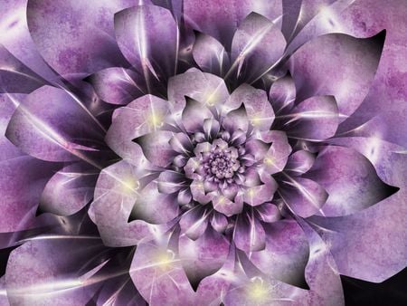 Sitting Pretty - lavender, purple, flower, petals, fractal