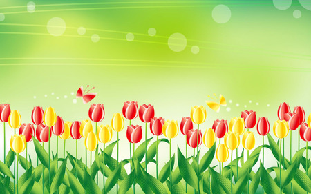 Tulip Sun - yellow, red, green leaves, sun, tulips, field, flowers