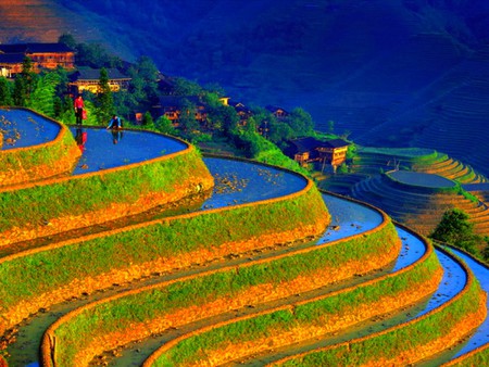 Chinese_Landscape - chinese-landscape, cool