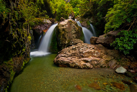 Sharplin Falls - falls, sharplin, river, water, green