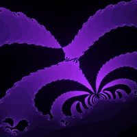 Spider Fractal in Purple