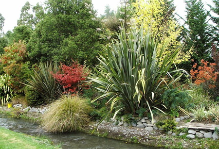 Garden - flowers, garden