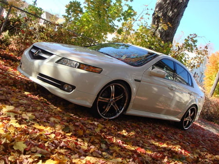 Acura TL - acura, tl