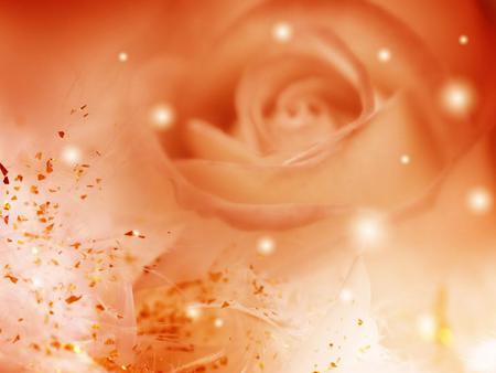 romantic rose 1024x768. jpg - love, sparkles, romantic, rose