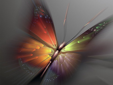 Butterfly - abstract, artwork, hot, kool, cg, colours, fantasy, butterfly, animals