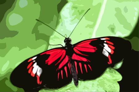 Butterfly - leaf, butterfly, abstract