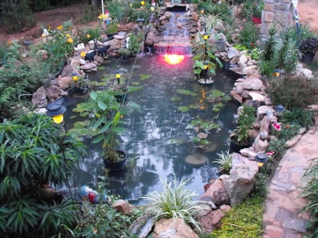 Koi pond - rock garden, koi pond, pond, water garden