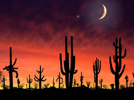 Cacti on a red hot night - moon, sky, night, red sky, star, cacti, beautiful, clouds, desert, catus