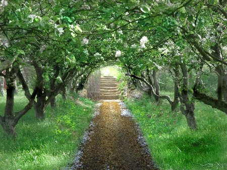 Hidde garden - garden, trees, way