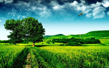 Luminous time - green, tree, landscape, clouds