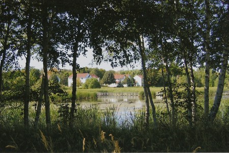 setting between Trees - lake, trees, water, farms