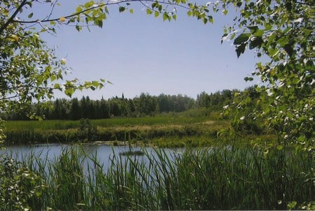 looking Towards  the village - trees, church tower, water, sky