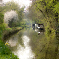  CANAL IN THE SPRING