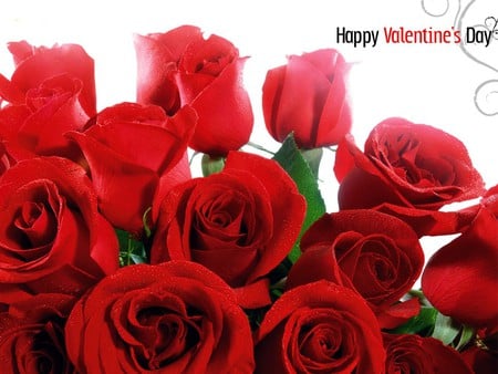 Valentine Day - valentine day, rose, red