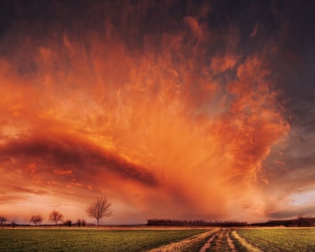 Red sky on the horizon - clouds, trees, nature, beautiful, red sky, road, dusk, field