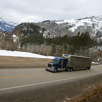 International 9900...........