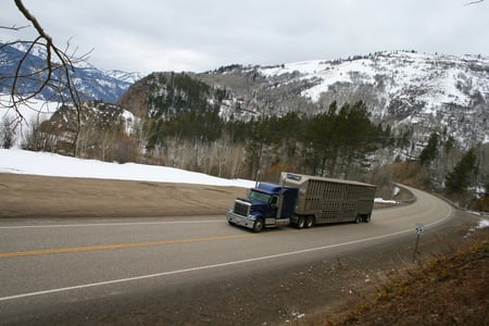 International 9900........... - big rigs, 18wheelers, trucks