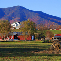 Down home on the farm.