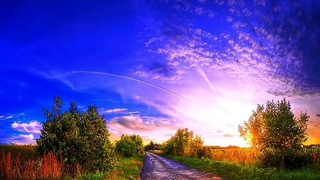 Clear Refresh - clouds, blue, amazing, brightness, road, light, tree, sky