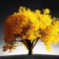 Golden Tree