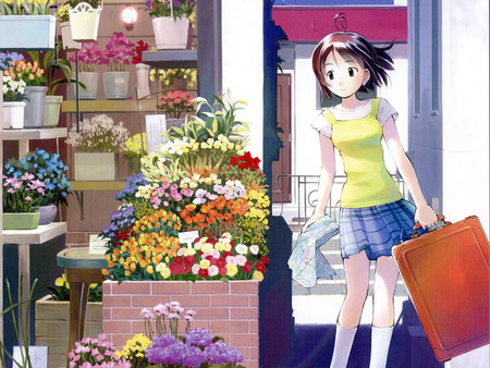 Flower Shop - stall, girl, female, anime, anime girl, cute, flower, shop