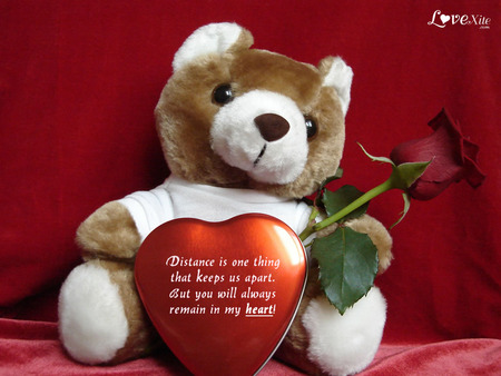 Teddybear love - heart, teddybear, red, pillow, rose