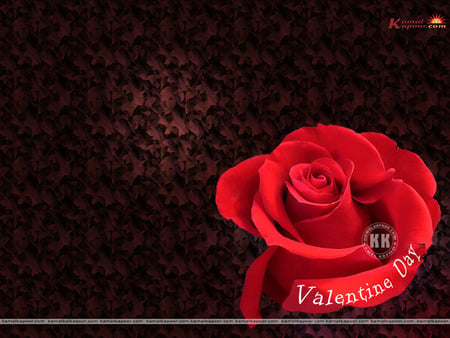 Valentine's Rose - valentines day, love, red rose, leaves