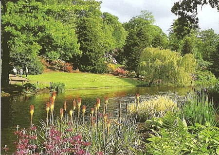 Leeds Garden in Summer. - flowers, water, lake, green grass, sky