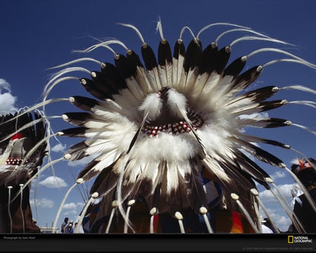 Feather headdress - white, black, people, nice, feathers, blue