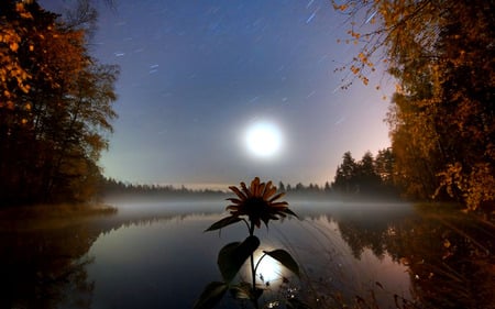 moon in the sky - moon, love, sky, landscape, water, dream, river, sweet, tree