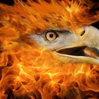 Fire-Eagle