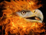 Fire-Eagle