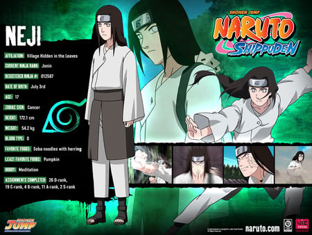 neji - naruto, anime, wallpaper, other