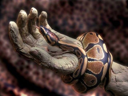 Snake - hand, cool, snake