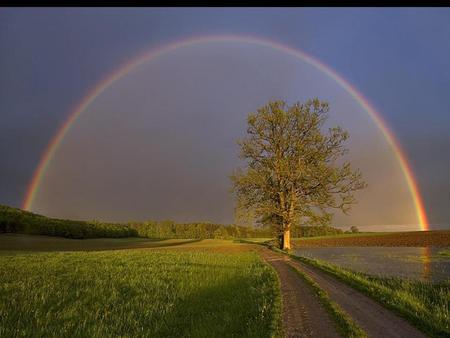 Rainbow - rainbow, nature