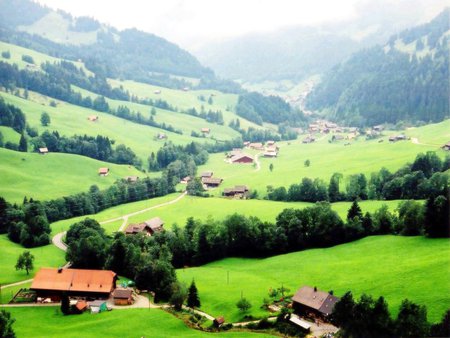 Spring fields - fields, green, grass, spring