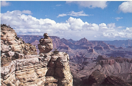 Duck On The Rock - arid, canyon, rocks, southwest