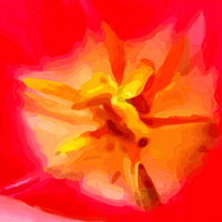 into the flower Energy20Bloom wallpaper. jpg