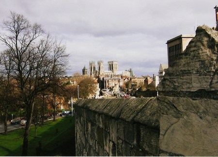 A view from wall.York Cathedral - sky, trees, wall, catheral, grass