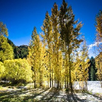 Arrowtown Autumn New Zealand