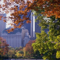 Autumn in Central Park New York