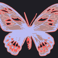 butterfly Outside wallpaper. jpg