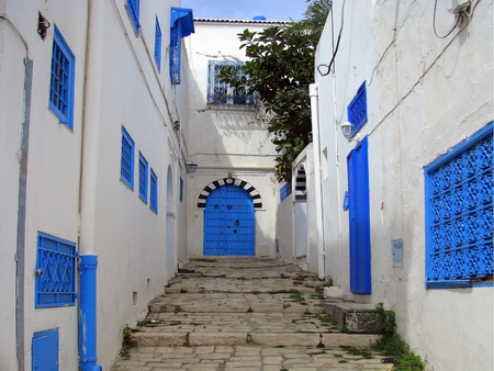 blue white tunisia houses - street, white, blue, tunisia, houses