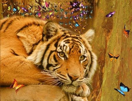 The Ephemeral Serenity - ephemeral, fantasy, serenity, tiger, rest