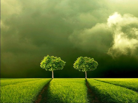 Beauty of Nature - green fields, beauty of nature, trees, cool