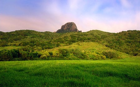 Travel around the world - nature, fields, windows 7