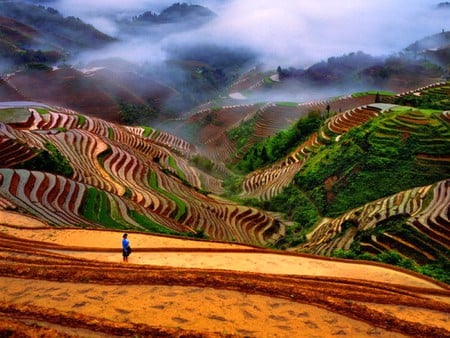 Western_China - cool, colours of nature, beautiful, fields, western-china